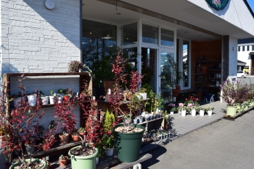 「佐藤生花店」　（山形県鶴岡市）の花屋店舗写真2